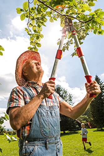 Gartenschere Teleskop Amboss
